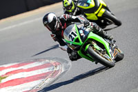 Lower Group Green Bikes